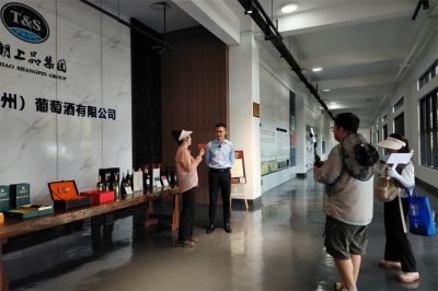 贵州广电酒业动静到天朝上品葡萄酒庄进行直播推广
