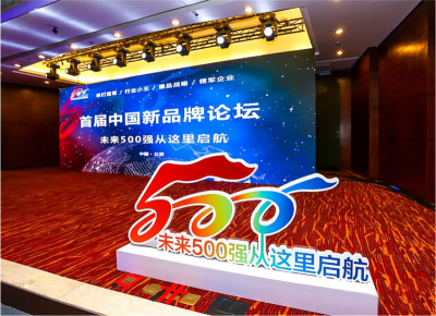 莫在山脚谈规划，冲上山顶论英雄——首届中国新品牌论坛力邀领军企业现身说法